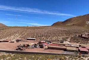 San Pedro de Atacama: El Tatio Geisers Field