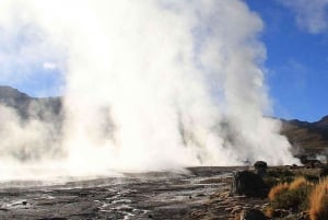 San Pedro de Atacama: Campo de Géiseres de El Tatio
