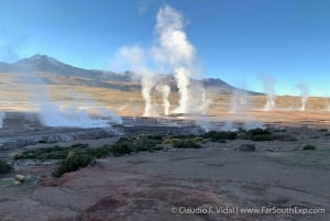 San Pedro de Atacama: El Tatio Geyser Field and Wetlands