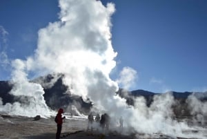 San Pedro de Atacama : Visite des geysers d'El Tatio