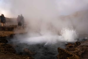 San Pedro de Atacama: El Tatio Geysers Tour
