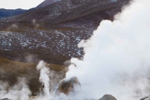 San Pedro de Atacama: El Tatio Geysers Tour
