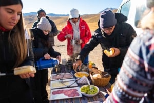 San Pedro de Atacama: El Tatio Geysers Tour