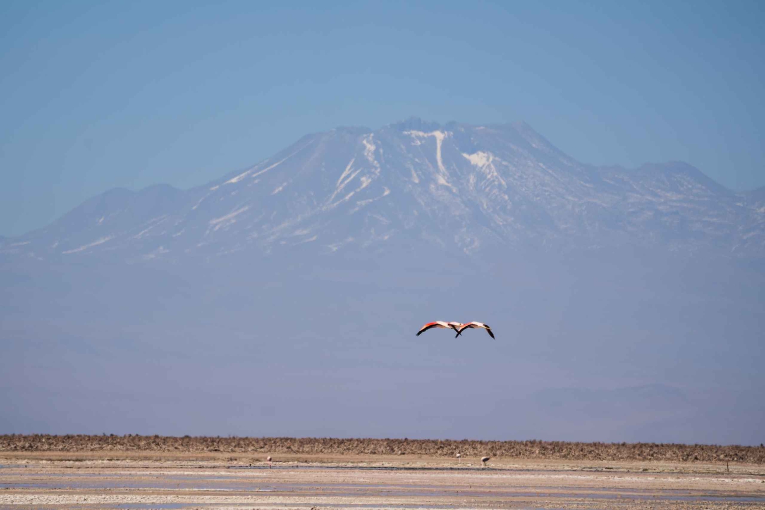San Pedro de Atacama: Tour di mezza giornata e di un giorno intero