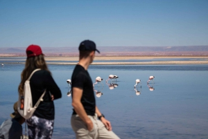 San Pedro de Atacama: Hel- och halvdagsutflykter