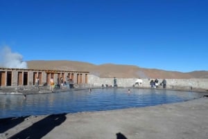 San Pedro de Atacama: Géiseres del Tatio + Termas + Machuca
