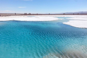 San Pedro de Atacama: Rundtur till Baltinaches dolda laguner