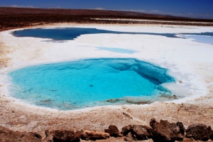 San Pedro de Atacama: Excursión a las Lagunas Ocultas de Baltinache