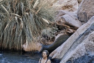 San Pedro de Atacama: Hiking to Purilibre Hot Springs