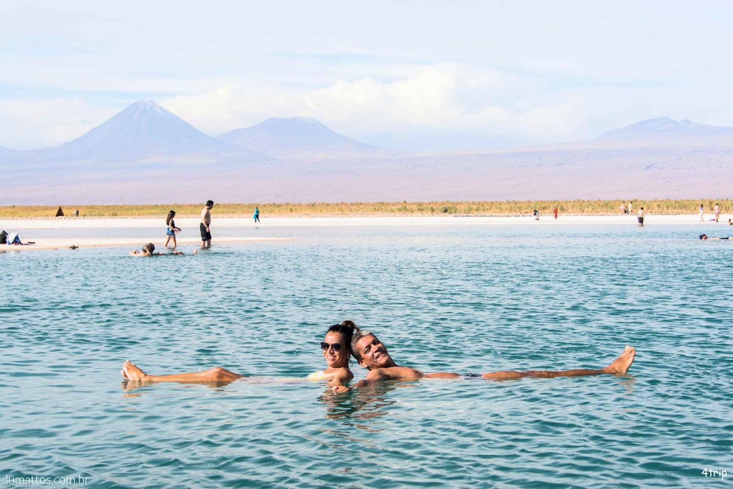 San Pedro de Atacama: Laguna Cejar Halvdagsutflykt med guide