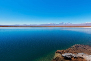 San Pedro de Atacama: Laguna Cejar