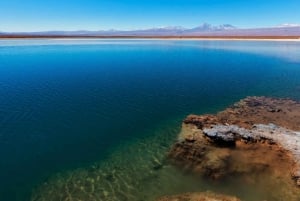 San Pedro de Atacama: Laguna Cejar