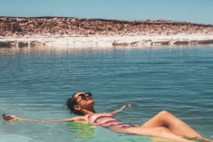 San Pedro de Atacama: Lagunas Balinache