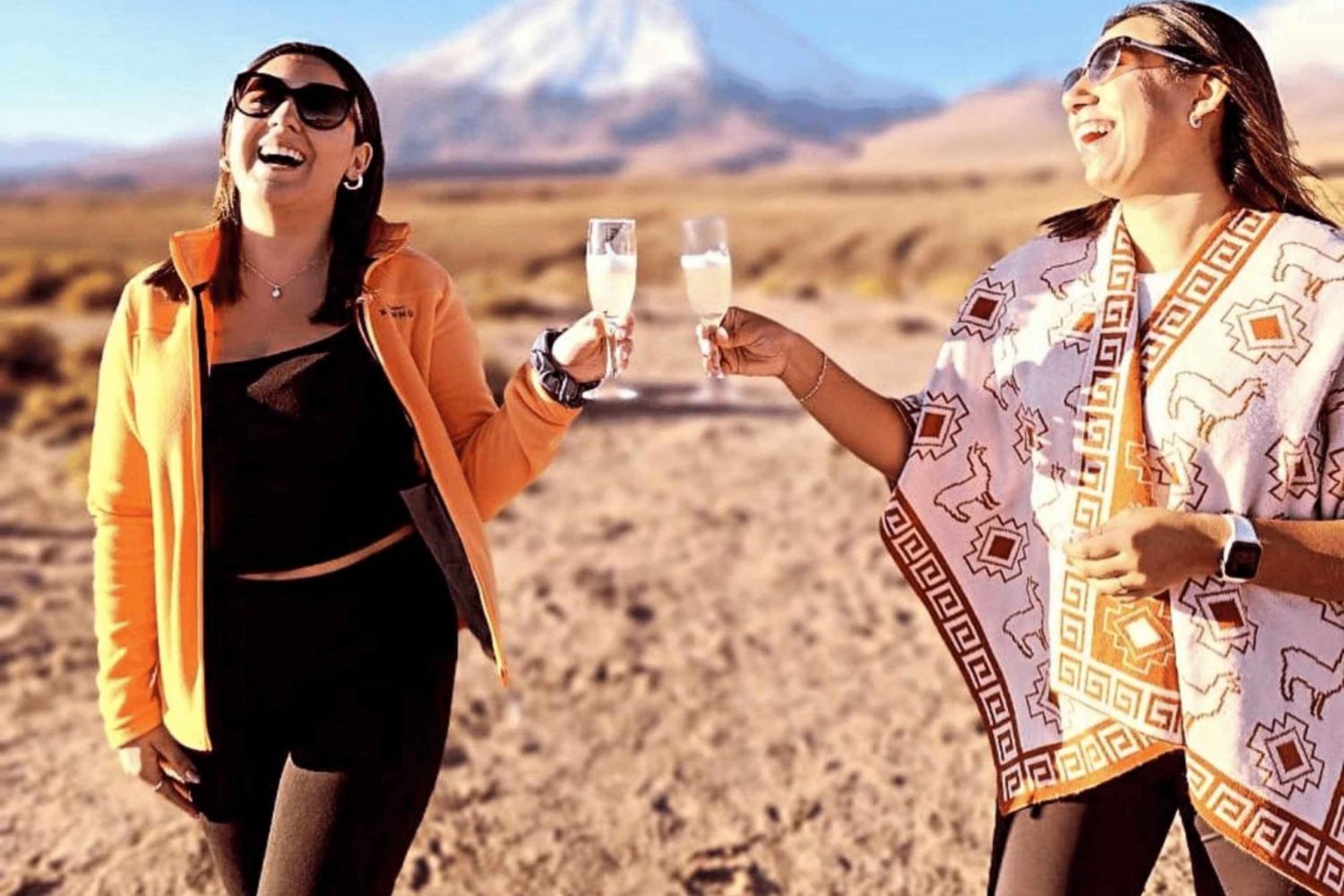 San Pedro de Atacama: Caravana Lhamas