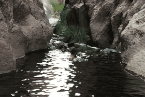 San Pedro de Atacama : Lhamas Caravan