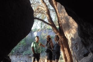 San Pedro de Atacama : Lhamas Caravan