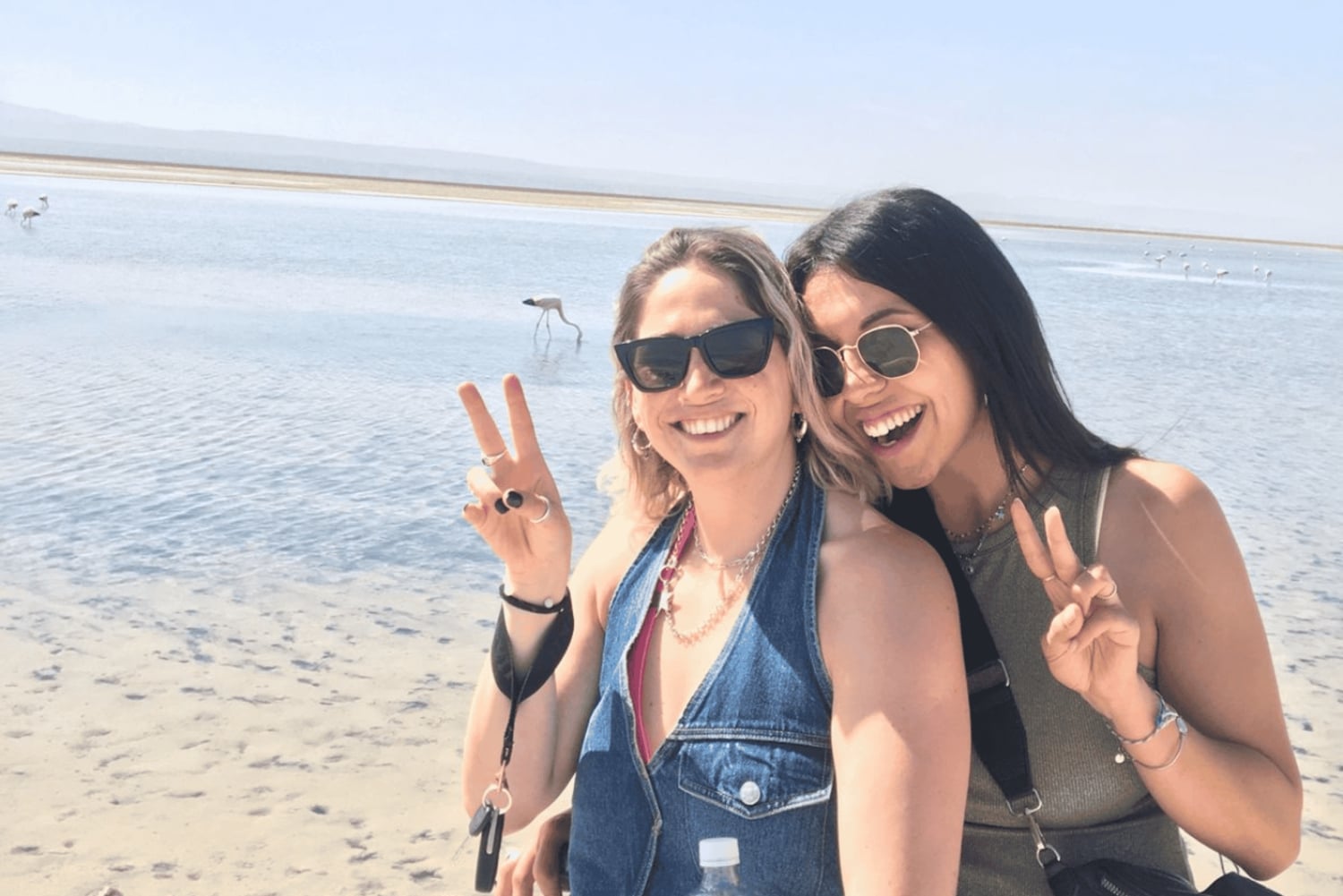 San Pedro de Atacama: Lhamasin asuntovaunu