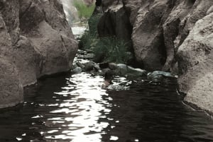 San Pedro de Atacama: Lhamasin asuntovaunu