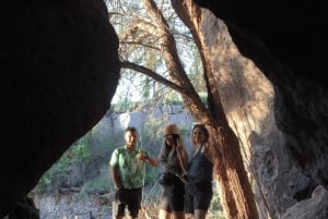 San Pedro de Atacama: Lhamasin asuntovaunu