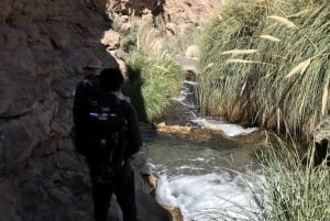 San Pedro de Atacama: Canyon Swimming Pools Trekking Trip