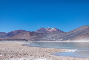 San Pedro de Atacama: Piedras Rojas y Lagunas Altiplánicas