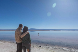 San Pedro de Atacama: Piedras Rojas and Altiplanic Lagoons