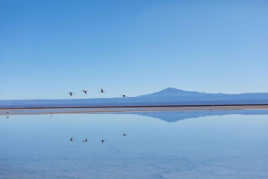 San Pedro de Atacama: Piedras Rojas and Altiplanic Lagoons
