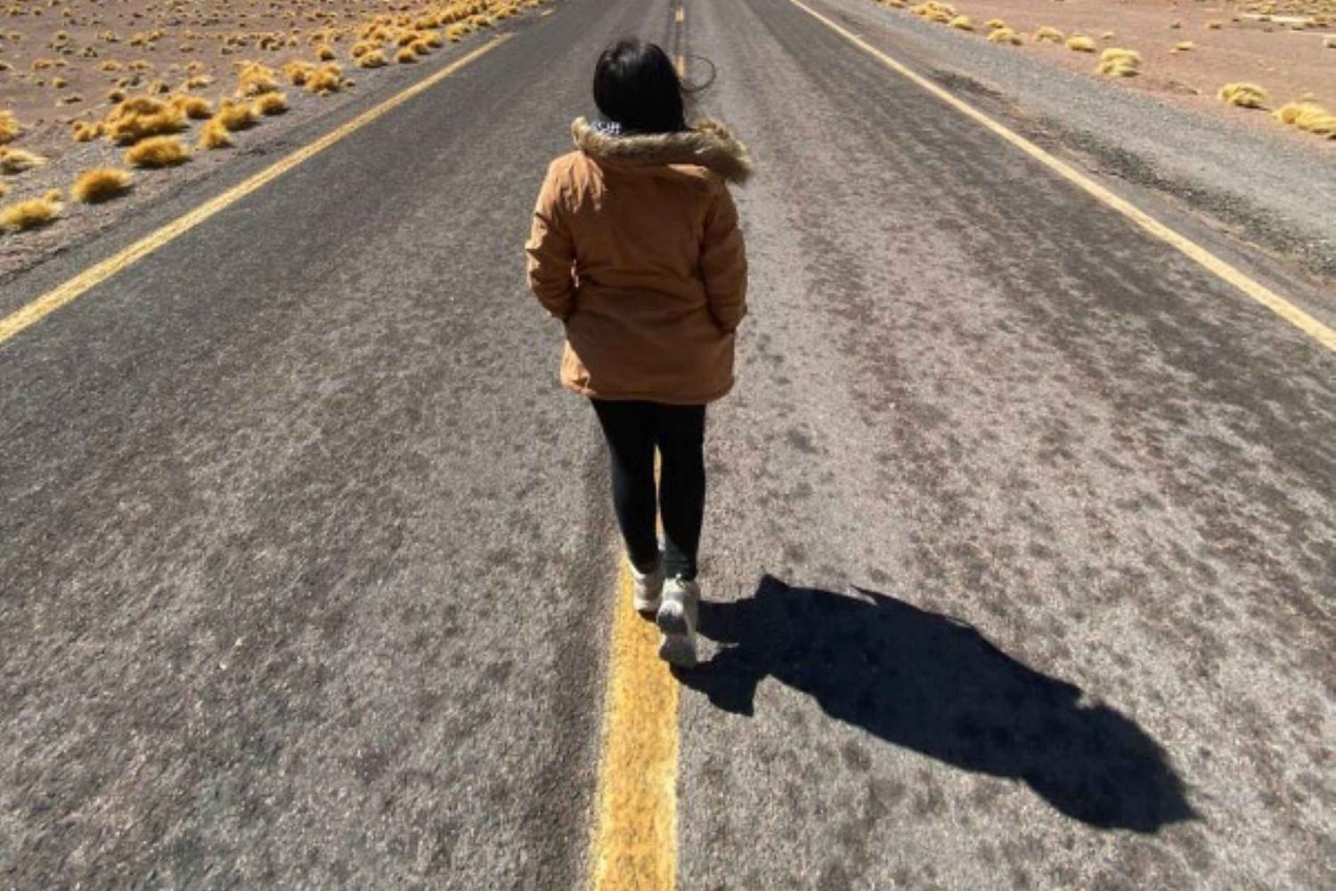 Сан-Педро-де-Атакама: Пьедрас Рохас и Лагунас Альтипланика