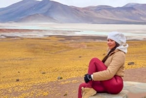 San Pedro de Atacama: Piedras Rojas och Lagunas Altiplanica