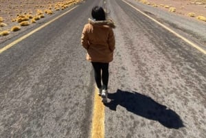 Сан-Педро-де-Атакама: Пьедрас Рохас и Лагунас Альтипланика