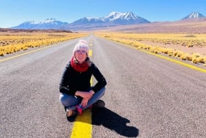 Сан-Педро-де-Атакама: Пьедрас Рохас и Лагунас Альтипланика