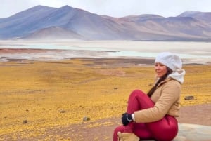 Сан-Педро-де-Атакама: Пьедрас Рохас и Лагунас Альтипланика