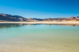 San Pedro de Atacama: Piedras Rojas, Miscanti e Meñiques
