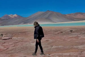San Pedro de Atacama: Piedras Rojas og Lagunas Altiplanica