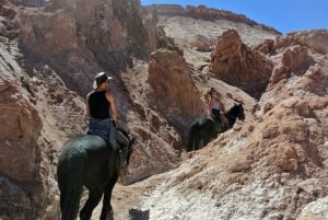 San Pedro de Atacama: Private Romantic Full-day Tour