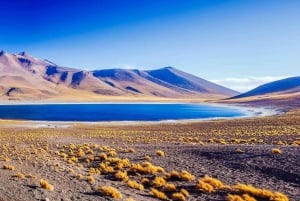San Pedro de Atacama: Puritama Canyon Hike with Pools