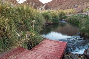 San Pedro de Atacama: Tour de medio día a las Termas de Puritama