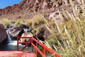 San Pedro de Atacama: Tour de medio día a las Termas de Puritama