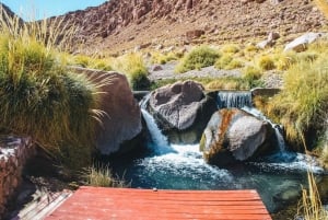 San Pedro de Atacama: Tour di trasferimento delle sorgenti termali di Puritama