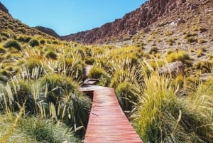 San Pedro de Atacama: Transfertur til Puritama Hot Springs