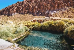 San Pedro de Atacama: Tour di trasferimento delle sorgenti termali di Puritama