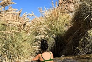 San Pedro de Atacama: Puritama Hot Springs Transfer Tour