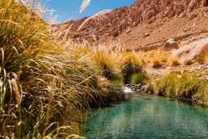 SAN PEDRO DE ATACAMA: PURITAMA HOT SPRINGS WITH ENTRANCE FEE