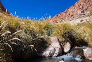 SAN PEDRO DE ATACAMA: PURITAMA HOT SPRINGS WITH ENTRANCE FEE