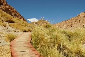 SAN PEDRO DE ATACAMA: PURITAMA HOT SPRINGS WITH ENTRANCE FEE