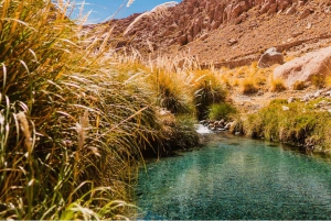 SAN PEDRO DE ATACAMA : SOURCES THERMALES DE PURITAMA AVEC BILLET D'ENTRÉE