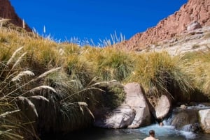 SAN PEDRO DE ATACAMA : SOURCES THERMALES DE PURITAMA AVEC BILLET D'ENTRÉE