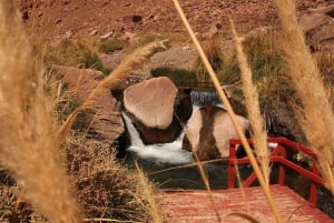 San Pedro de Atacama: Puritama Hot Springs