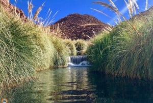 San Pedro de Atacama: Gorące źródła Puritama