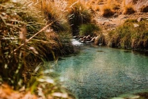 San Pedro de Atacama: Gorące źródła Puritama